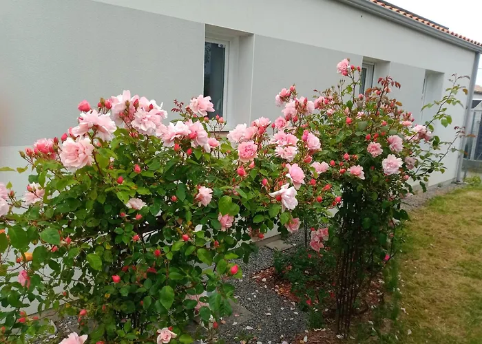 Perle Rare A Energie Positive