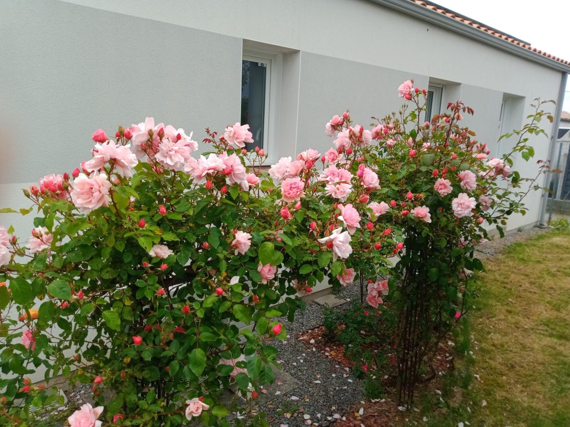 Perle Rare A Energie Positive Apartment Saint-Michel-Chef-Chef